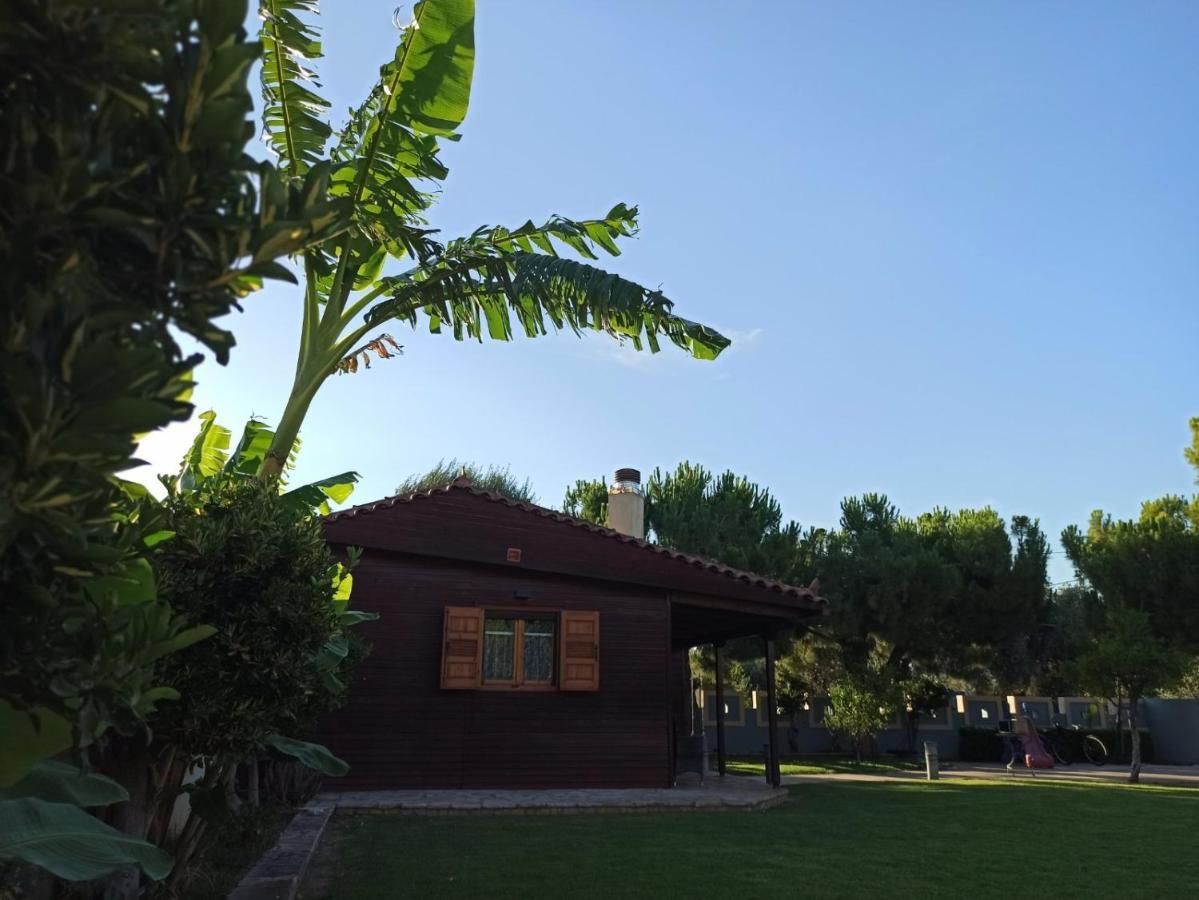 Aliki Guest House آيجيون المظهر الخارجي الصورة